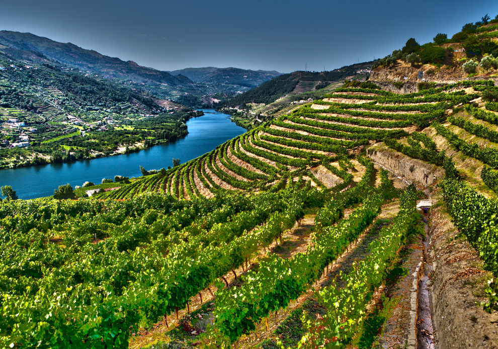 Vale Do Douro Vin Colas Para Visitar Magnetik Alchemy