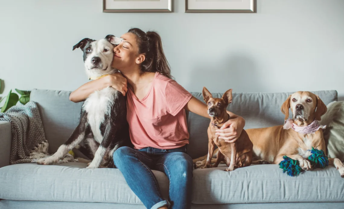 Seguros para animais em Portugal