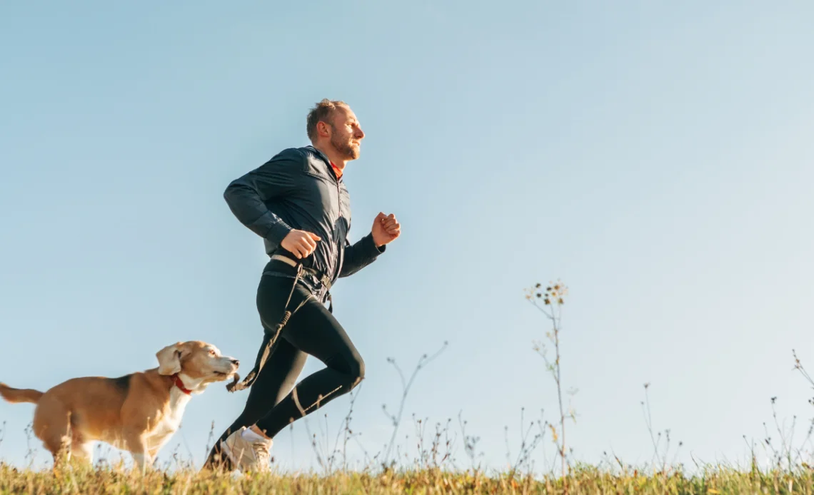 correr com o cão