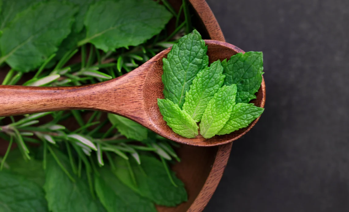 plantas aromáticas