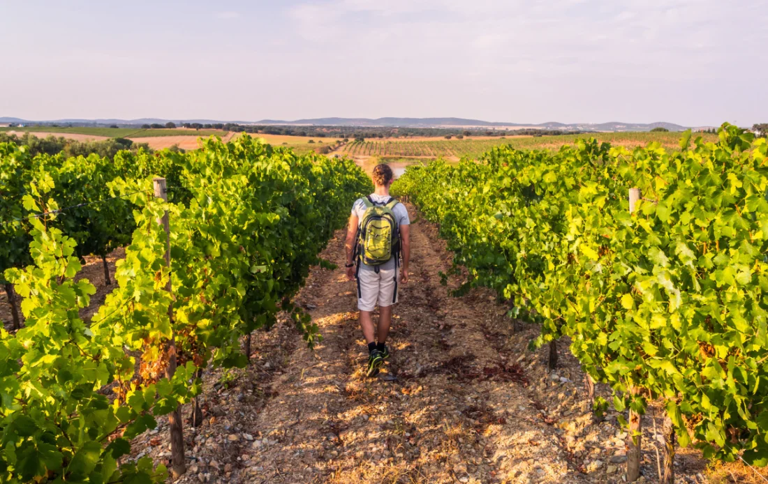 Alentejo Walking Festival